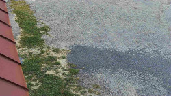 Nástup na běžecké tratě