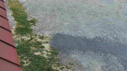 Nástup na běžecké tratě