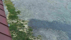 Nástup na běžecké tratě