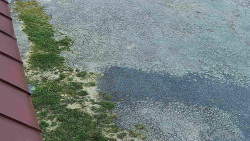 Nástup na běžecké tratě