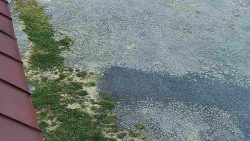 Nástup na běžecké tratě