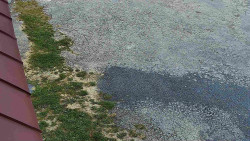 Nástup na běžecké tratě