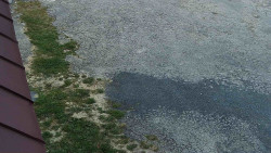 Nástup na běžecké tratě