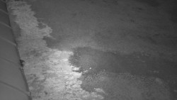 Nástup na běžecké tratě