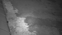 Nástup na běžecké tratě