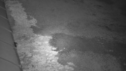 Nástup na běžecké tratě