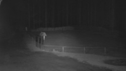 Nástup na běžecké tratě