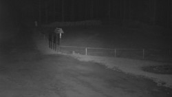 Nástup na běžecké tratě