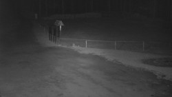 Nástup na běžecké tratě