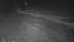 Nástup na běžecké tratě