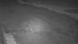 Nástup na běžecké tratě