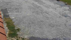 Nástup na běžecké tratě