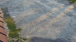 Nástup na běžecké tratě