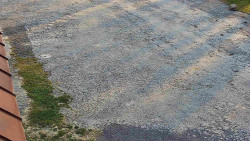 Nástup na běžecké tratě