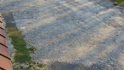 Nástup na běžecké tratě