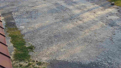 Nástup na běžecké tratě