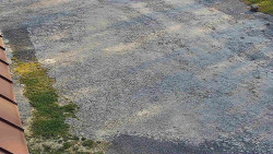 Nástup na běžecké tratě