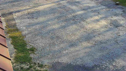 Nástup na běžecké tratě