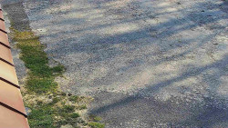 Nástup na běžecké tratě