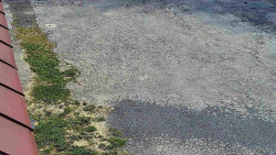 Nástup na běžecké tratě