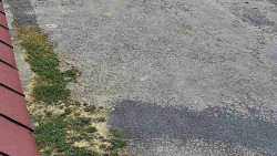 Nástup na běžecké tratě