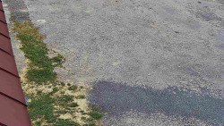 Nástup na běžecké tratě