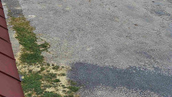 Nástup na běžecké tratě