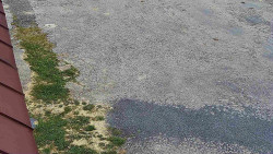 Nástup na běžecké tratě