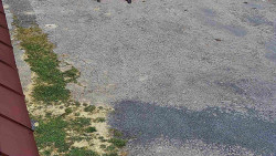 Nástup na běžecké tratě