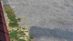 Nástup na běžecké tratě