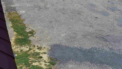 Nástup na běžecké tratě