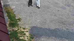 Nástup na běžecké tratě