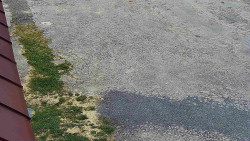 Nástup na běžecké tratě