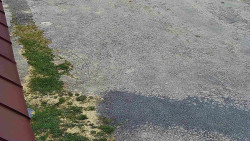 Nástup na běžecké tratě