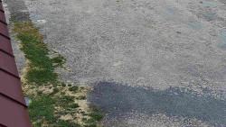 Nástup na běžecké tratě