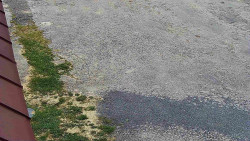 Nástup na běžecké tratě