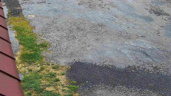 Nástup na běžecké tratě