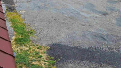 Nástup na běžecké tratě