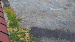 Nástup na běžecké tratě