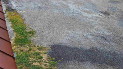 Nástup na běžecké tratě