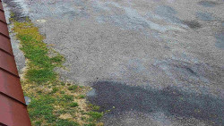 Nástup na běžecké tratě