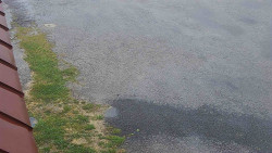 Nástup na běžecké tratě