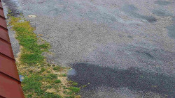 Nástup na běžecké tratě