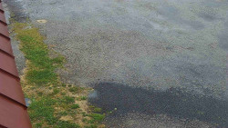 Nástup na běžecké tratě