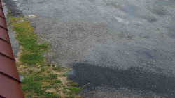 Nástup na běžecké tratě