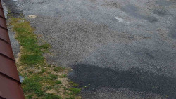 Nástup na běžecké tratě