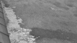 Nástup na běžecké tratě