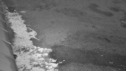 Nástup na běžecké tratě