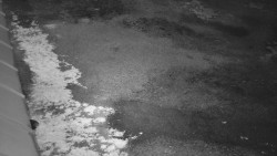 Nástup na běžecké tratě