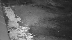 Nástup na běžecké tratě